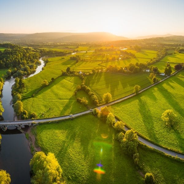 Financial Planner Somerset