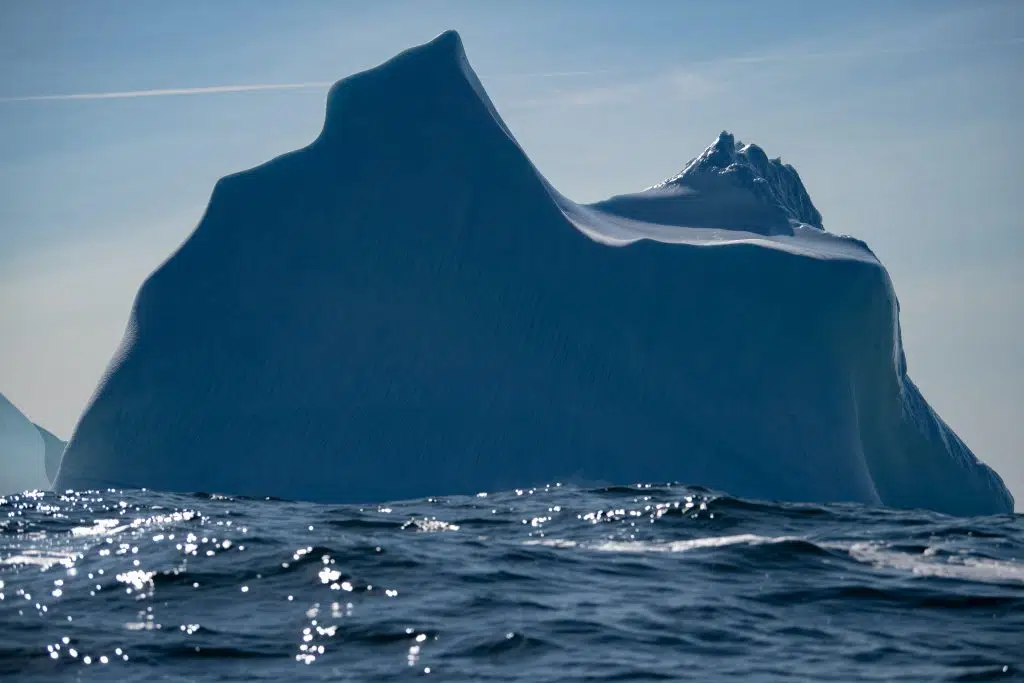 iceberg in sea at antarctica