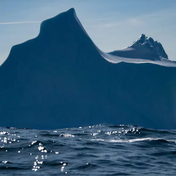 iceberg in sea at antarctica